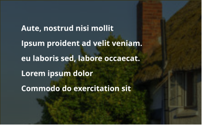 	Aute, nostrud nisi mollit   	Ipsum proident ad velit veniam.  	eu laboris sed, labore occaecat. 	Lorem ipsum dolor  	Commodo do exercitation sit