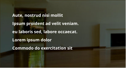 	Aute, nostrud nisi mollit   	Ipsum proident ad velit veniam.  	eu laboris sed, labore occaecat. 	Lorem ipsum dolor  	Commodo do exercitation sit